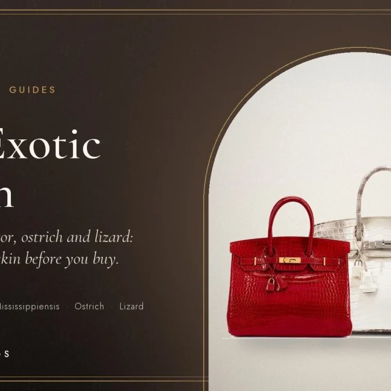 Exotic Birkin Guide: Crocodile, Alligator, Ostrich and Lizard
