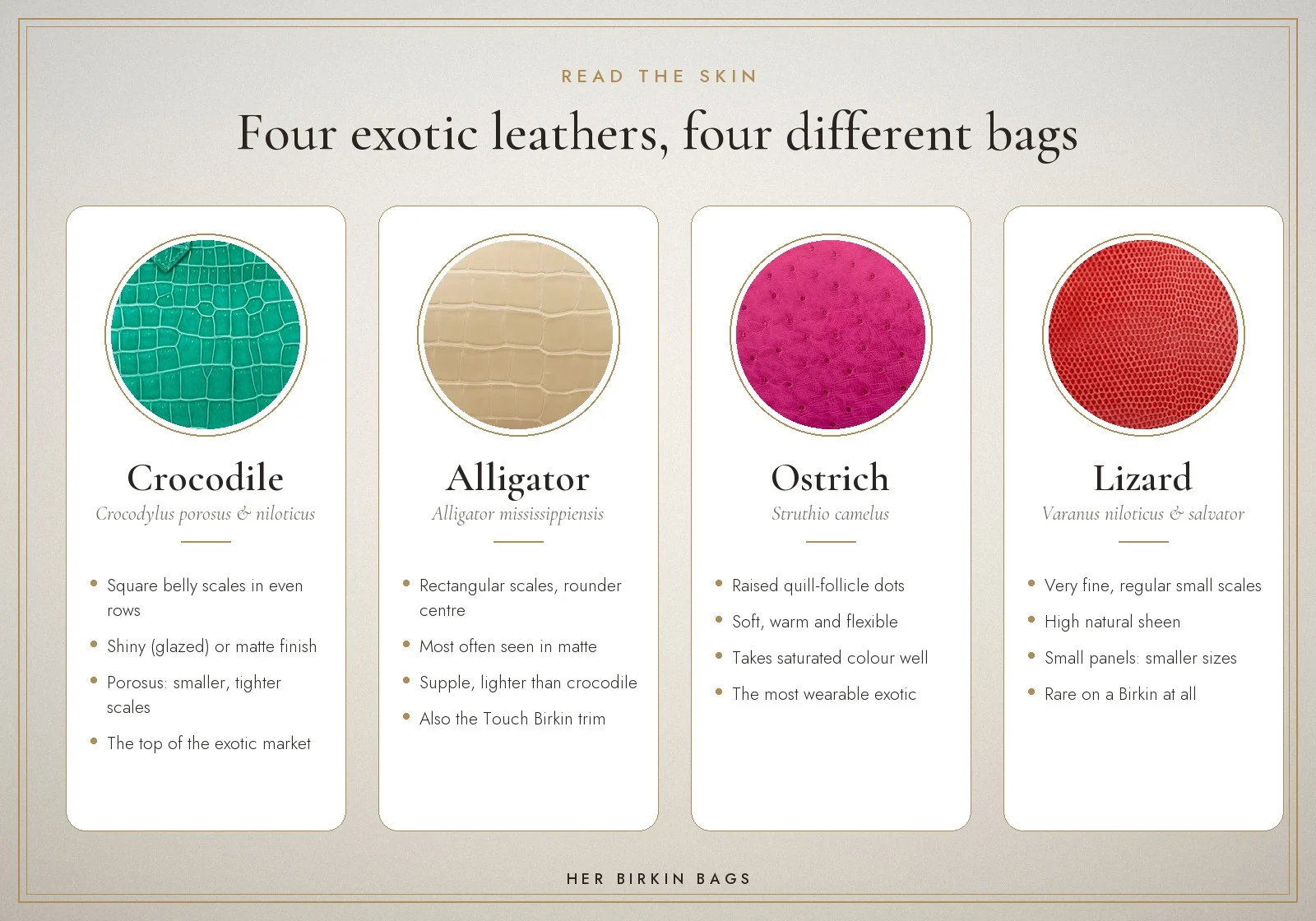 Exotic Birkin skins compared: crocodile, alligator, ostrich and lizard scale patterns