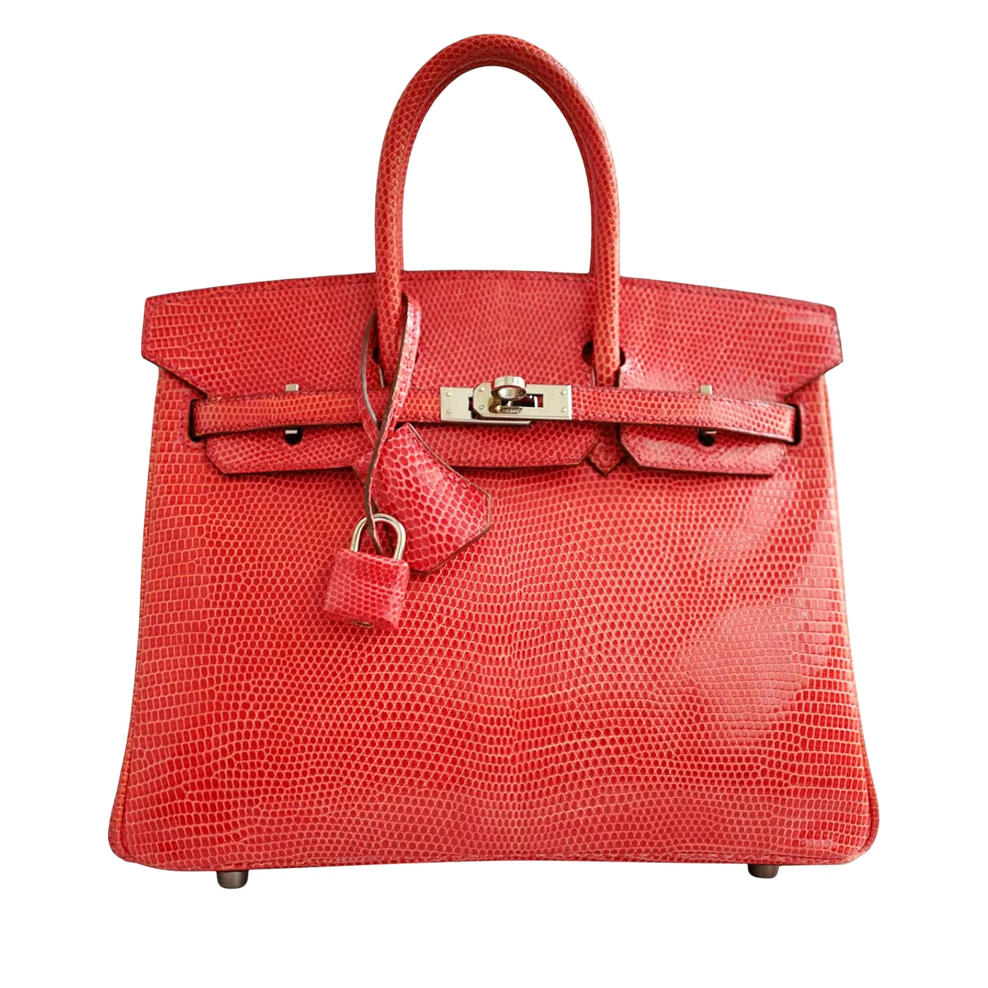 Hermès Birkin 25 Bougainvillea Lizard Palladium 2014