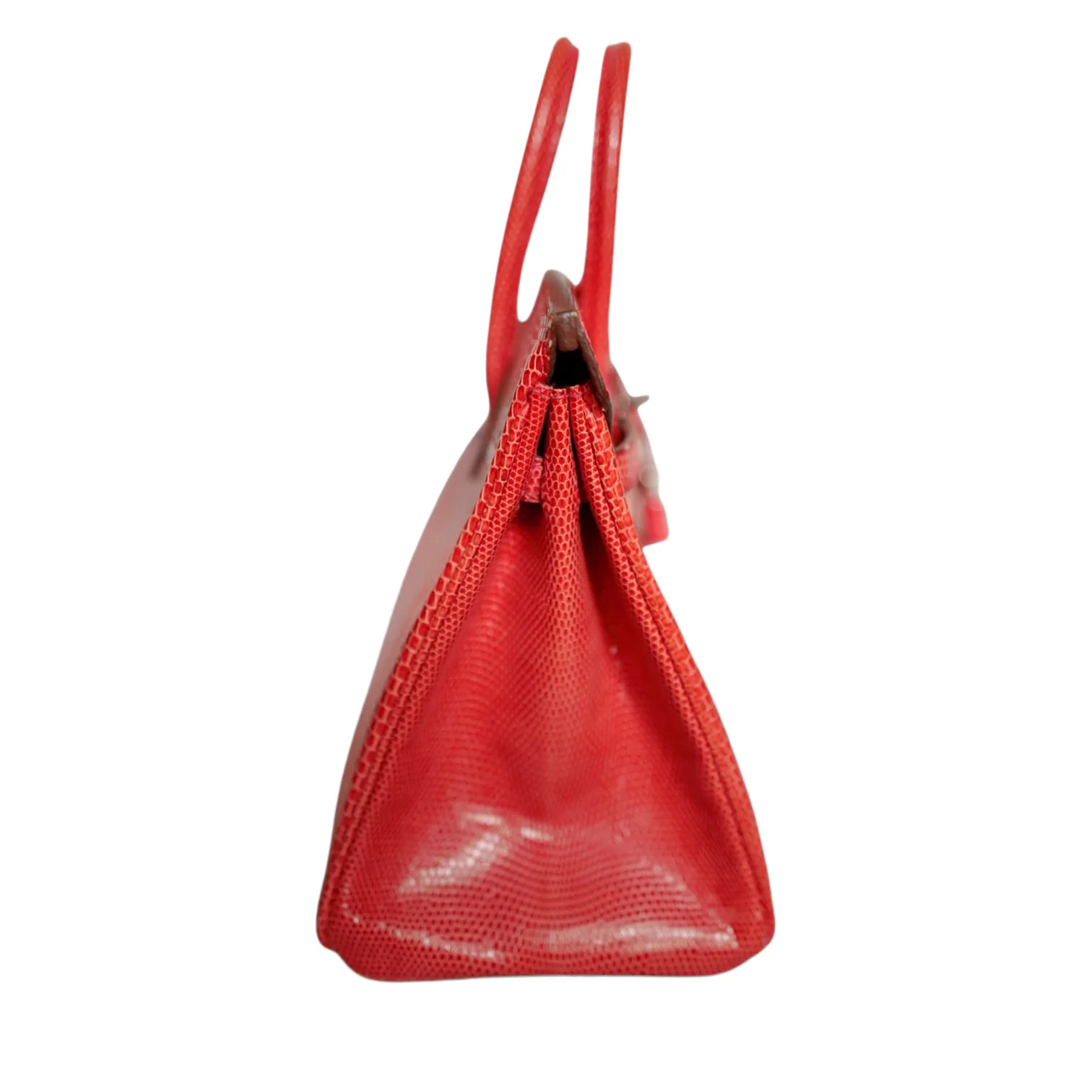 Hermès Birkin 25 Bougainvillea Lizard Palladium 2014 — view 2