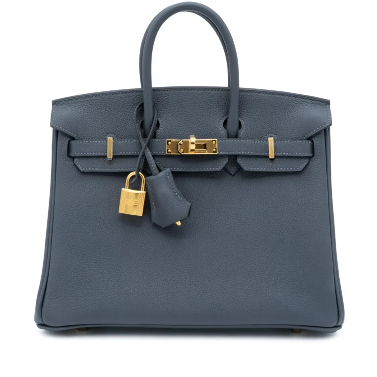 Hermès Birkin 25 Gris Misty Togo Gold 2026 for Sale