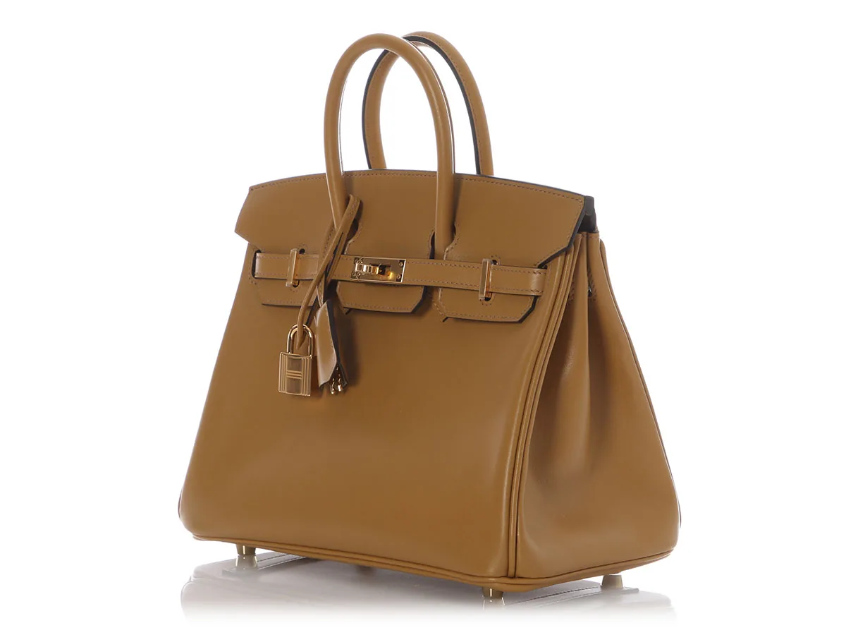 Hermès Birkin 25 Poussiere Tadelakt Gold 2023 — view 4