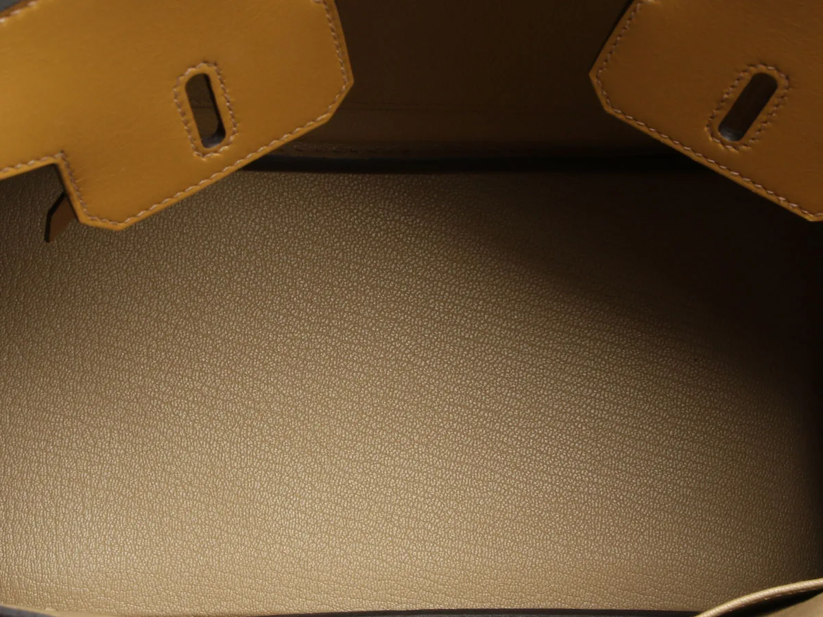 Hermès Birkin 25 Poussiere Tadelakt Gold 2023 — view 6