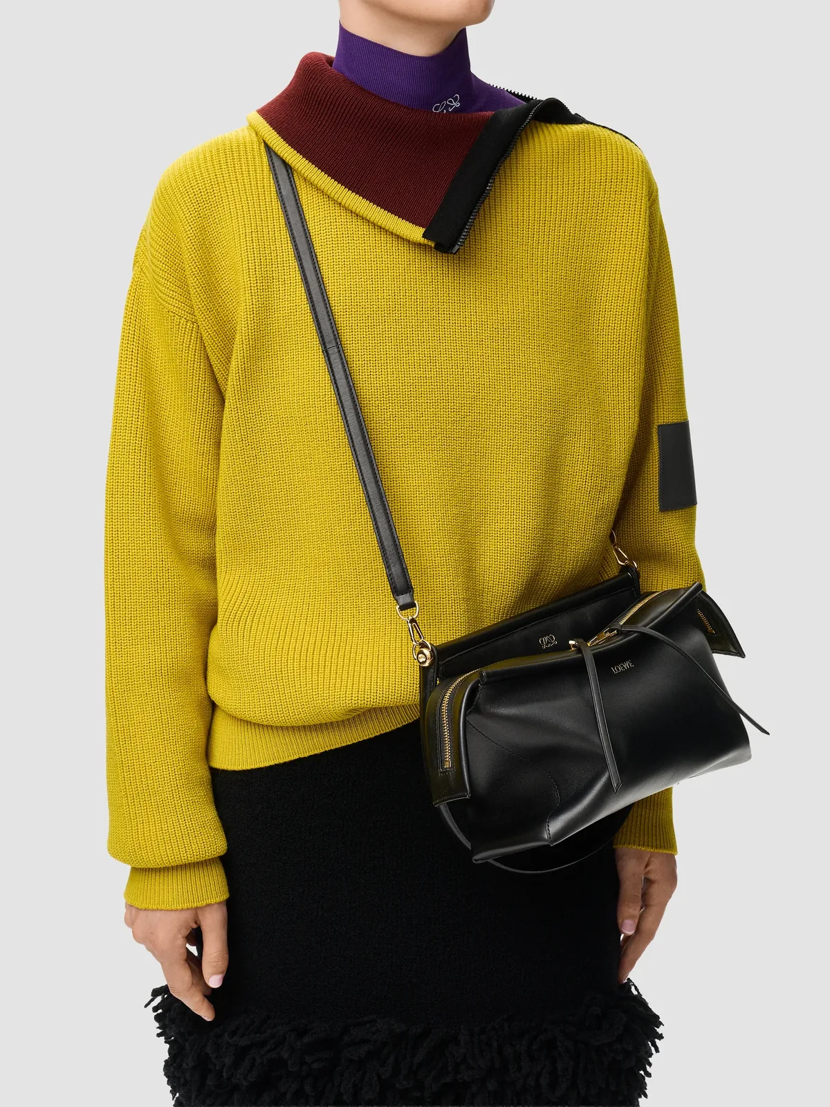 LOEWE Whisker Small Leather Shoulder Bag for Sale
