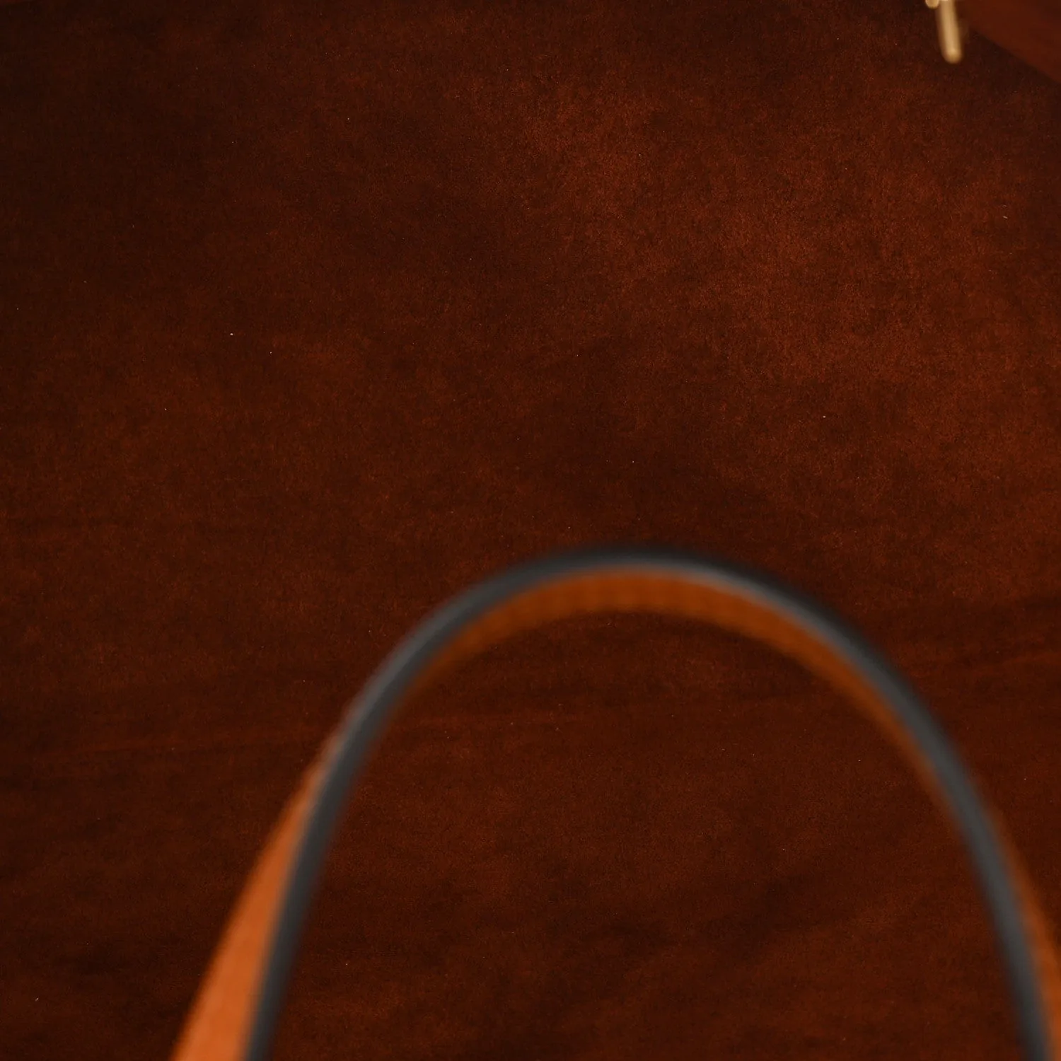 Louis Vuitton Epi Neverfull MM Tan – photo 5