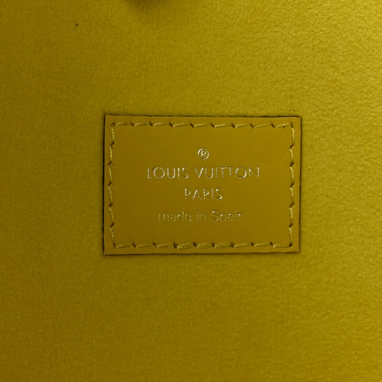 Louis Vuitton Epi Neverfull MM Pistache – photo 13