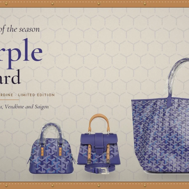 Purple Goyard Bag: The Blueberry Goyardine Shapes and How to Choose